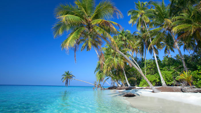 Plan your next trip
