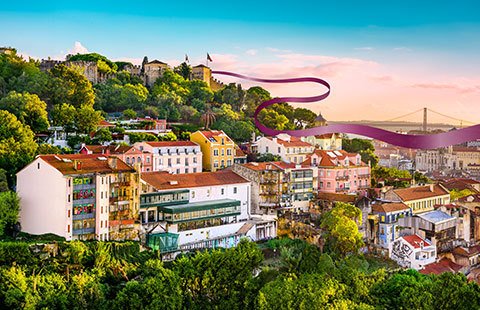 Uncover more of our new destinations
