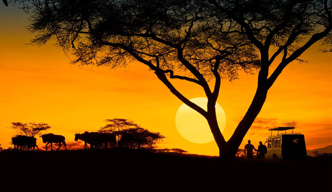 Spectacular Africa