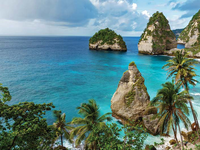 Admirez la beauté de Bali