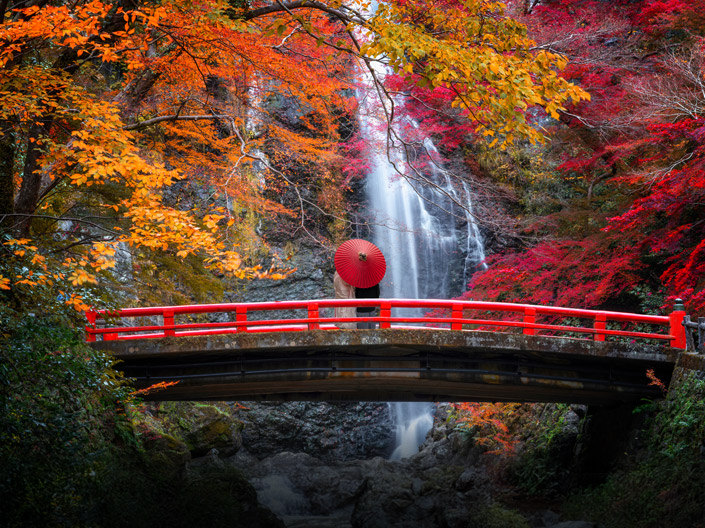 Taureau : Kyoto, Japon