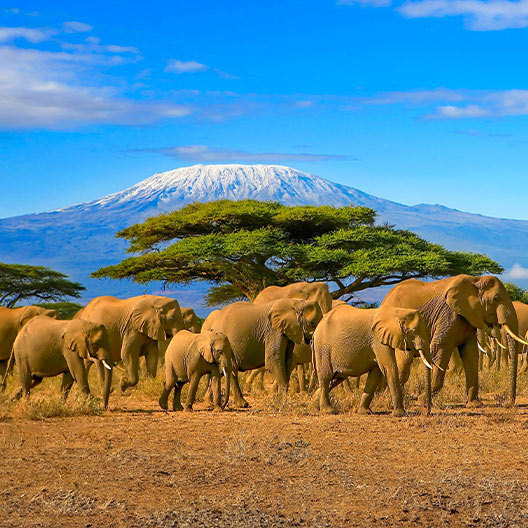 Africa