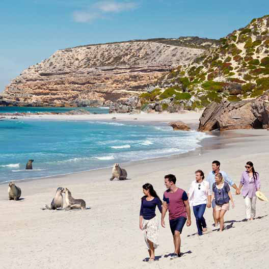 Discover Adelaide