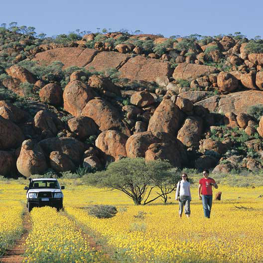 Discover Perth